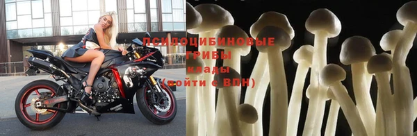 соль ск Пестово